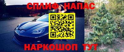 шишки Апрелевка