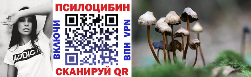 OMG зеркало  Муром  Псилоцибиновые грибы мухоморы 