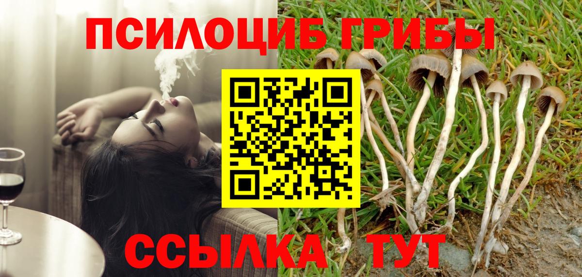 Муром  Галлюциногенные грибы мицелий  Псилоцибиновые грибы Psilocybine cubensis  Вход с VPN 
