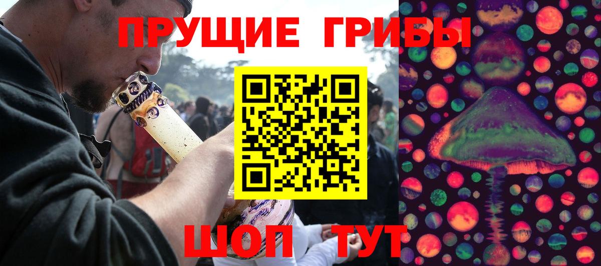 Псилоцибиновые грибы GOLDEN TEACHER Муром