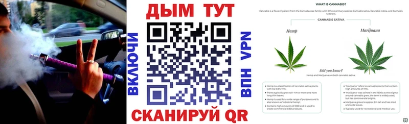 Конопля THC 21%  ОМГ ОМГ онион  Муром  где можно купить наркотик 