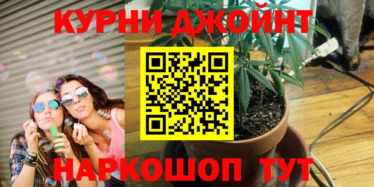 Бошки Шишки гибрид  Вход с VPN  Муром  Конопля AK-47 